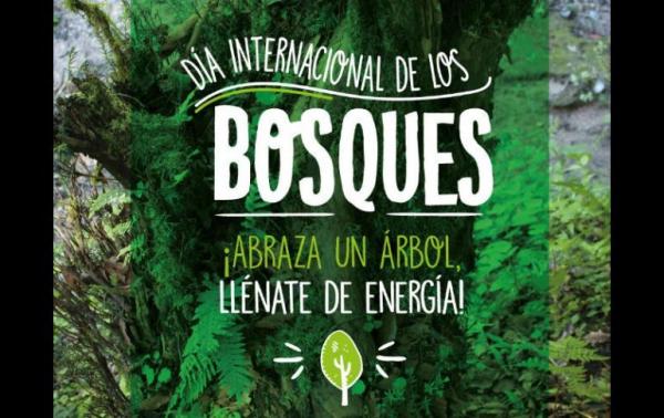 Día Internacional Bosques
